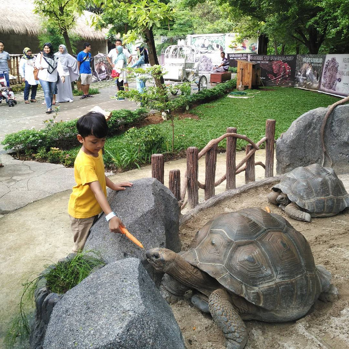 Pasti Seru! 16 Tempat Wisata Anak Di Jakarta Yang Asyik