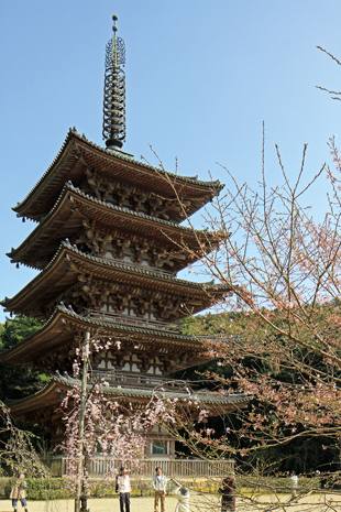 Ini Rahasia Rumah Tahan Gempa di Jepang - CASAINDONESIA.COM